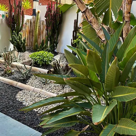 Roque-house Vakantiehuis Costa Adeje (Tenerife)