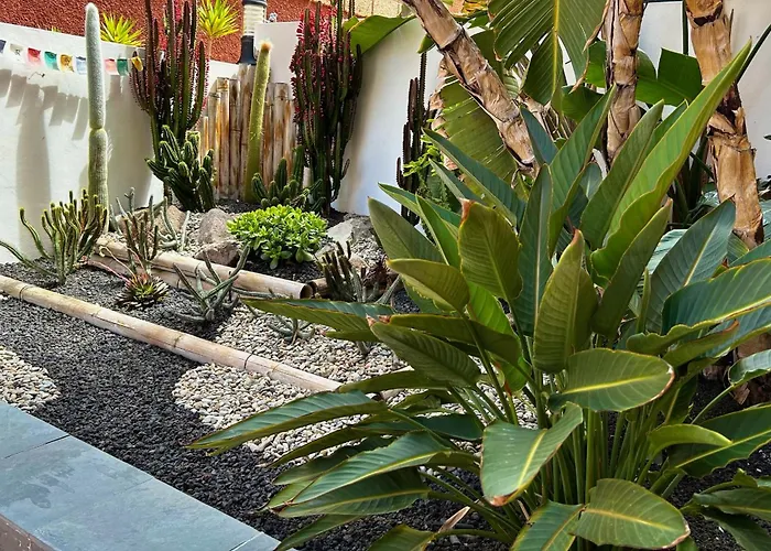 Roque-house 別荘 アデヘ