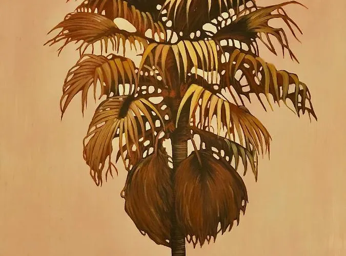 Roque-house Будинок відпочинку Адехе